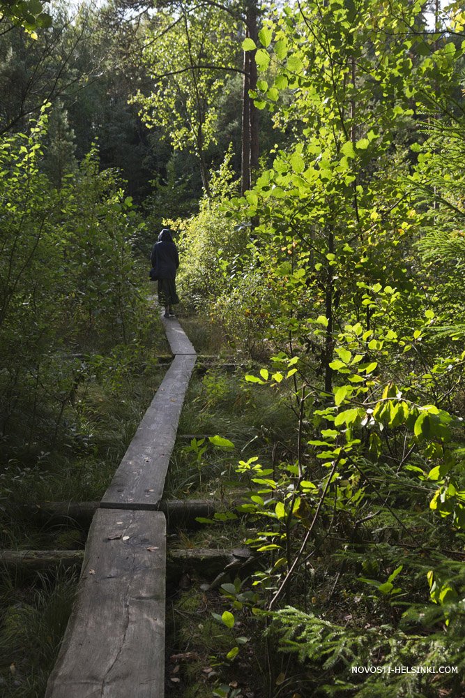 1622284899 tabakov finland helsinki vuosaari forest bridge irina 7578