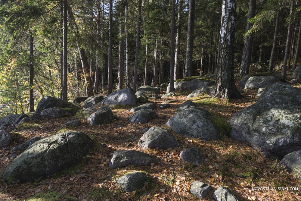1622284918 tabakov finland helsinki vuosaari forest rocks fall 6974