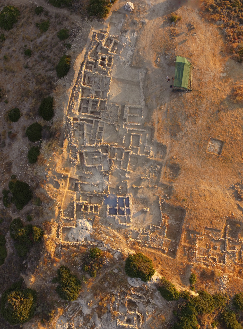 petras site